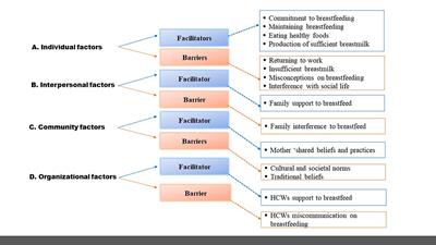 Facilitators and barriers associated with breastfeeding among mothers attending primary healthcare facilities in Mpumalanga, South Africa